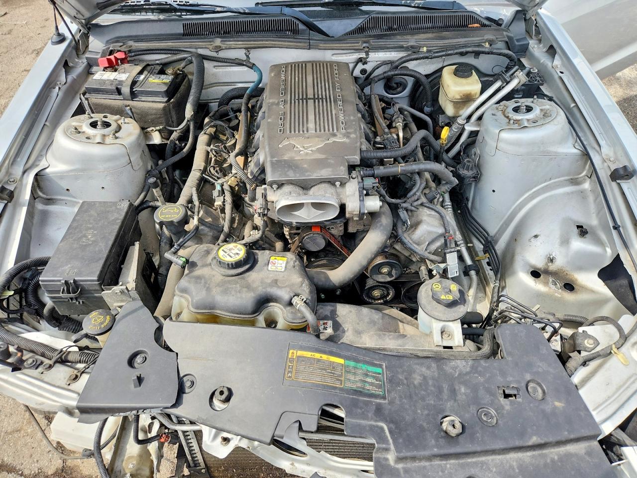 2007 FORD MUSTANG GT photo 21