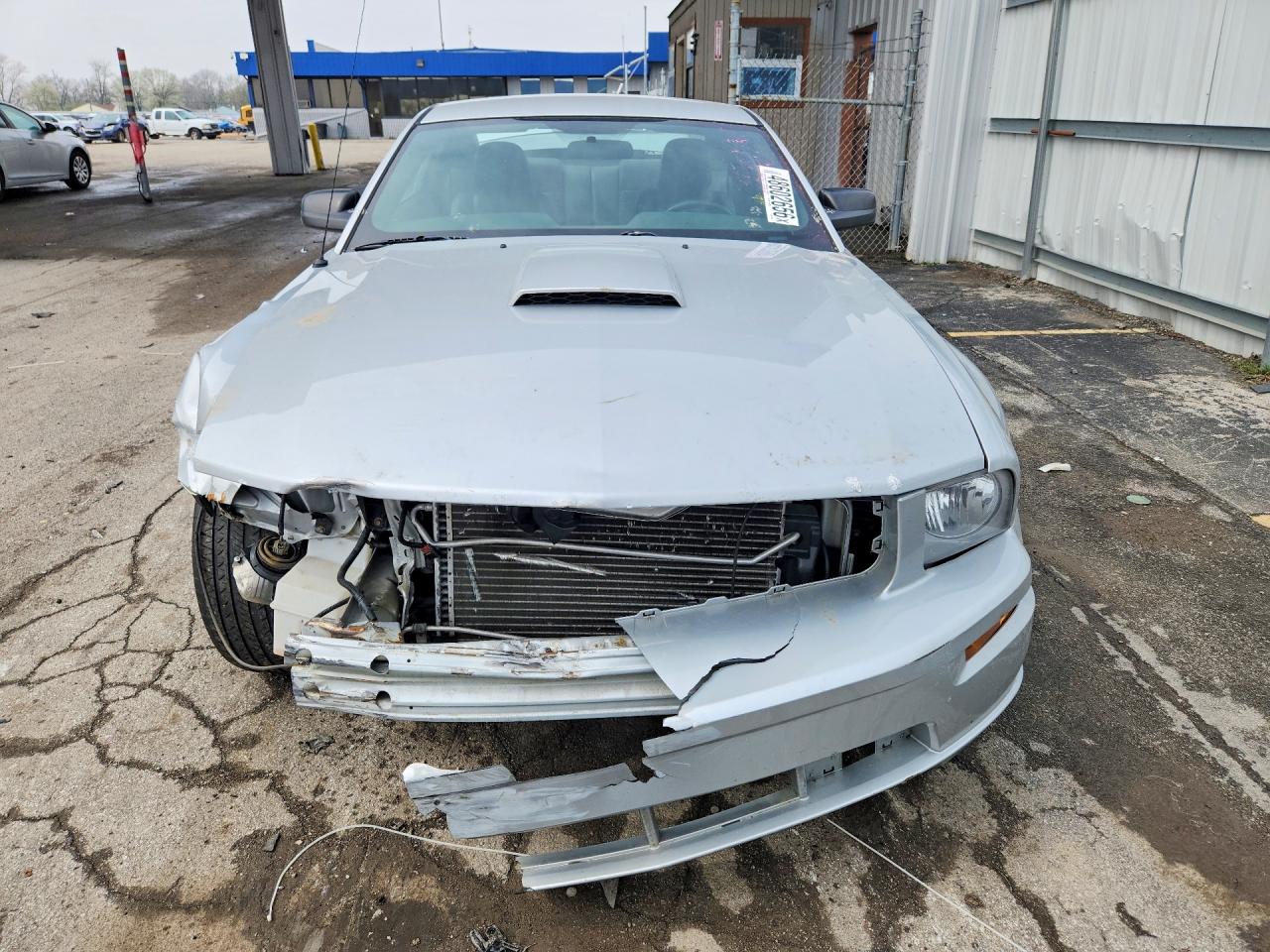 2007 FORD MUSTANG GT photo 9