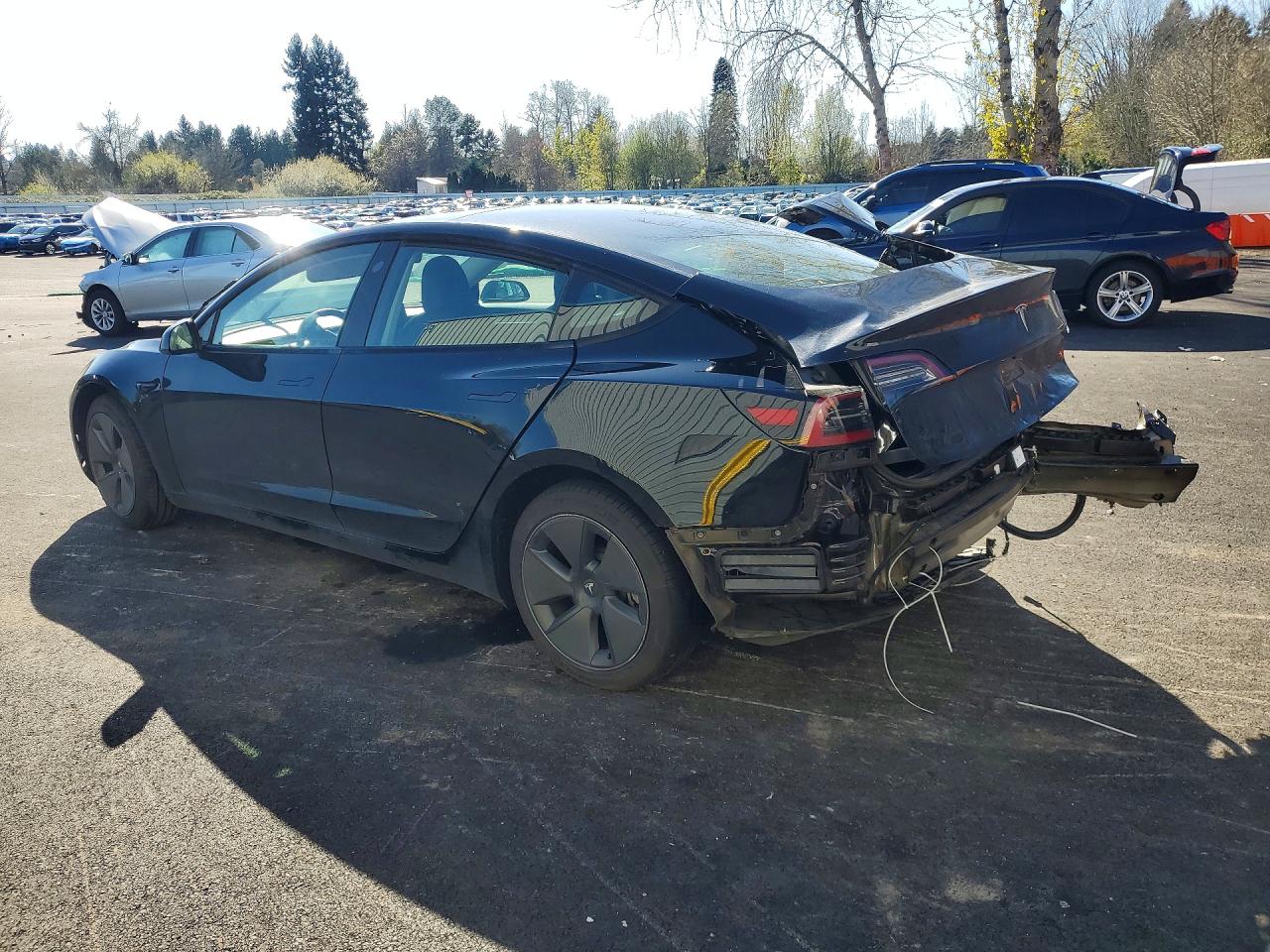 2023 TESLA MODEL 3 photo 2