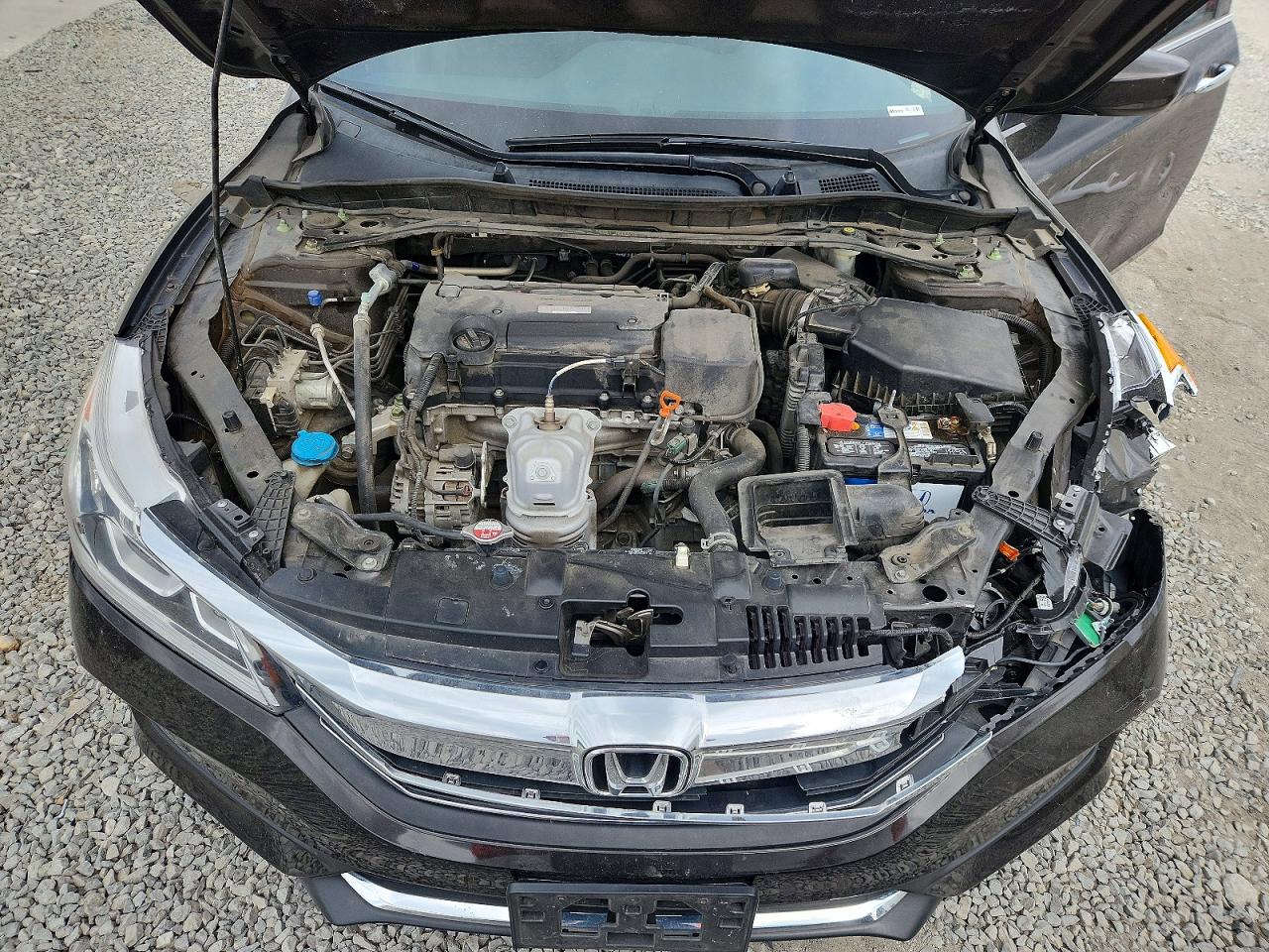 2017 HONDA ACCORD SPORT SPECIAL EDITION photo 21