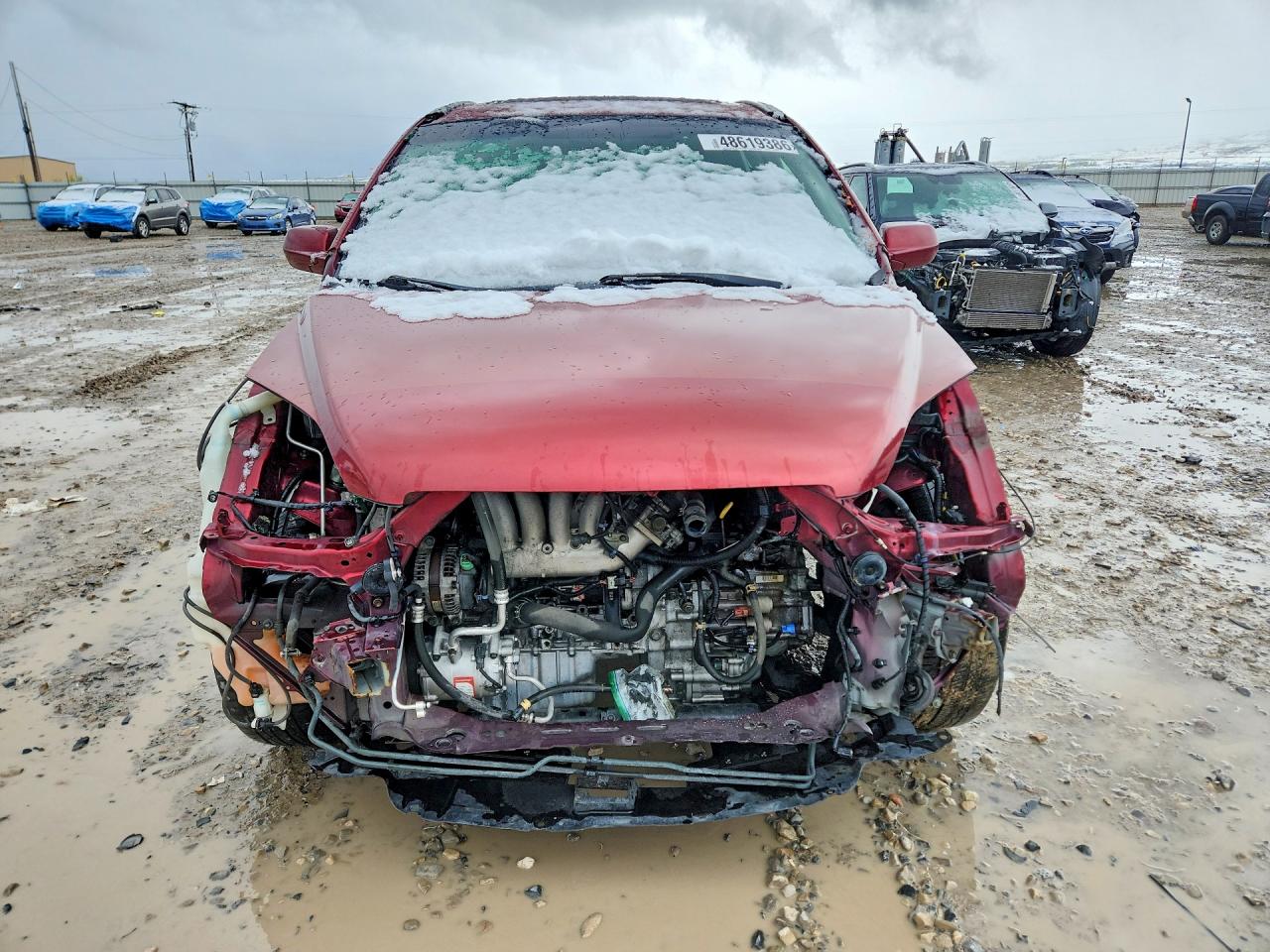 2008 HONDA CR-V EXL photo 5