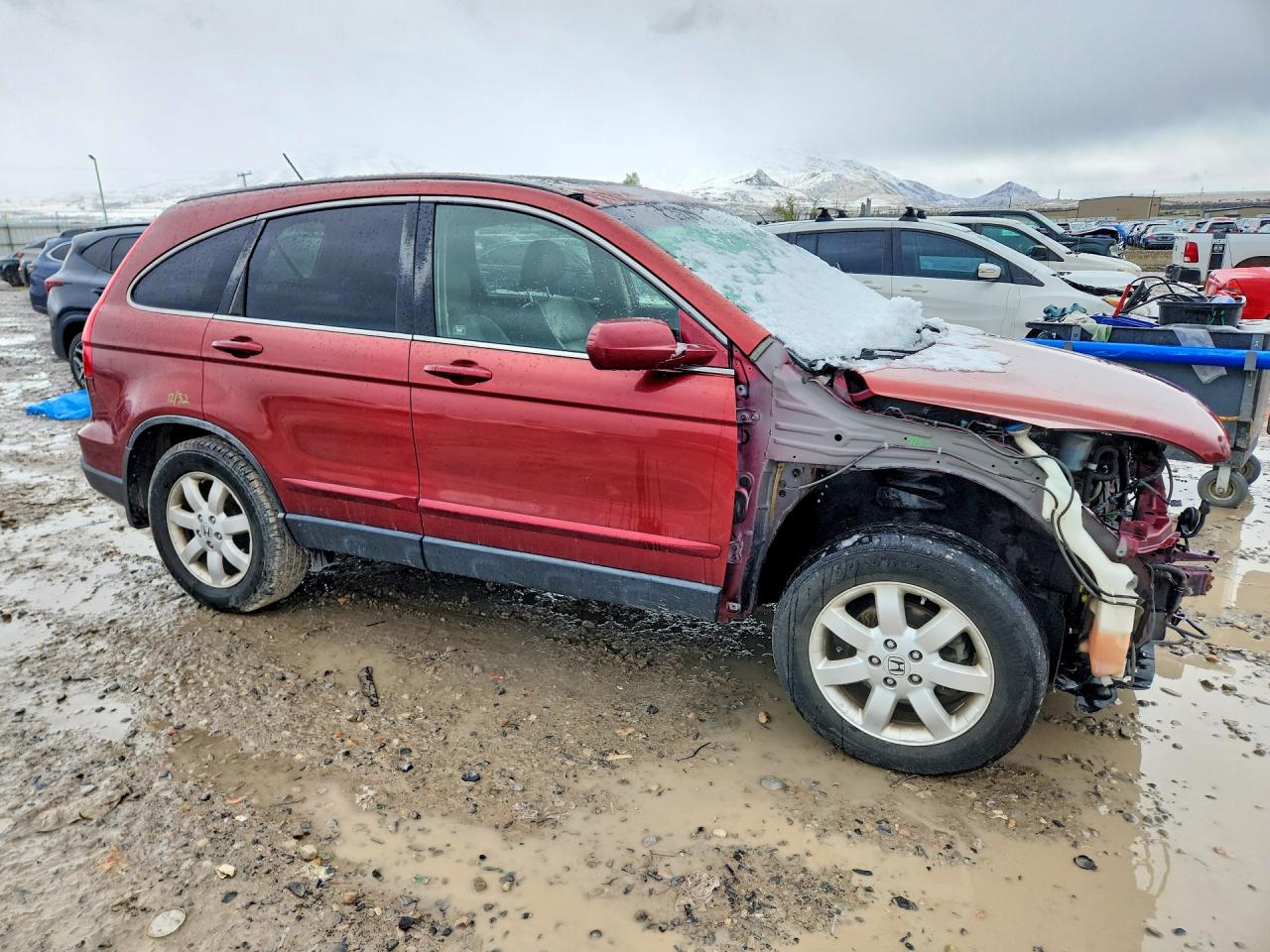 2008 HONDA CR-V EXL photo 4