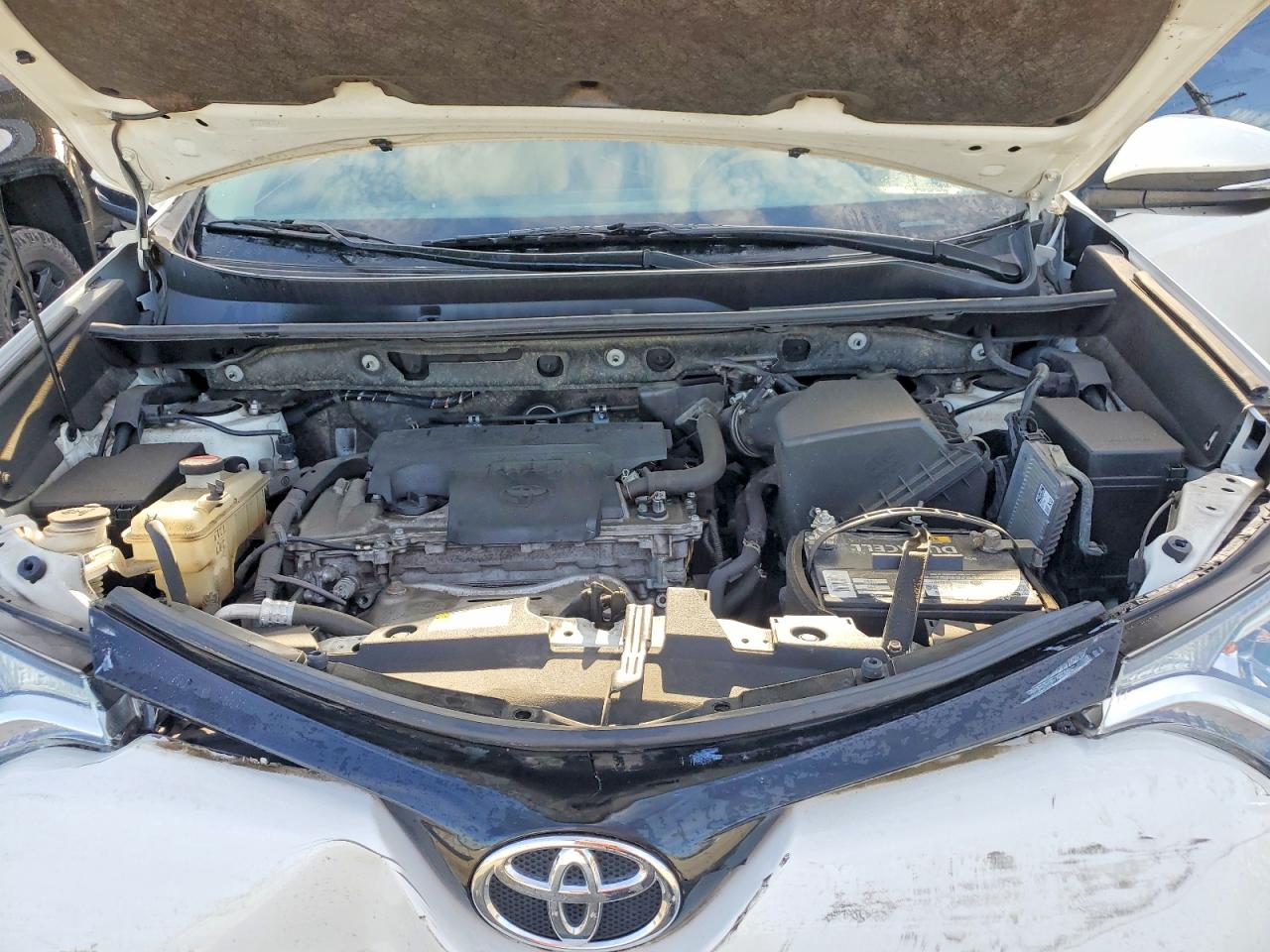 2016 TOYOTA RAV4 XLE photo 23