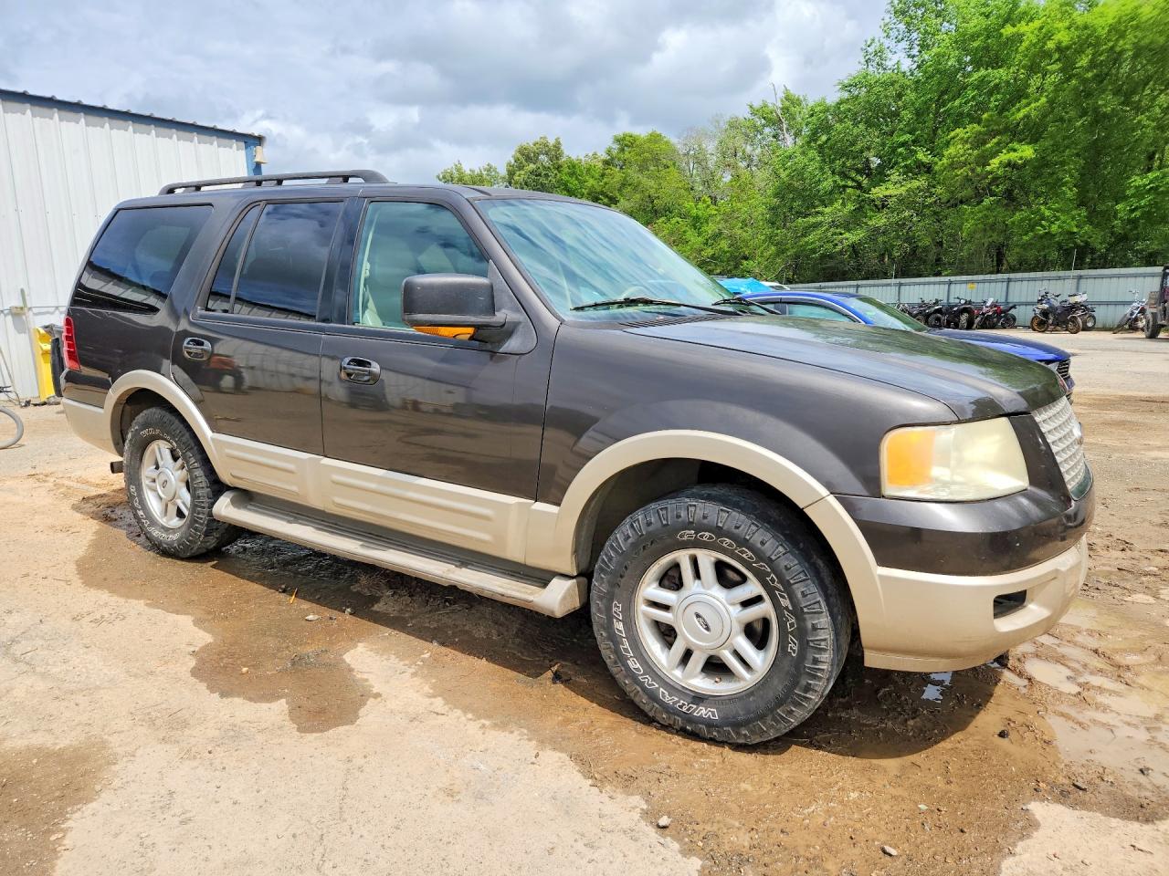 2006 FORD EXPEDITION EDDIE BAUER photo 7