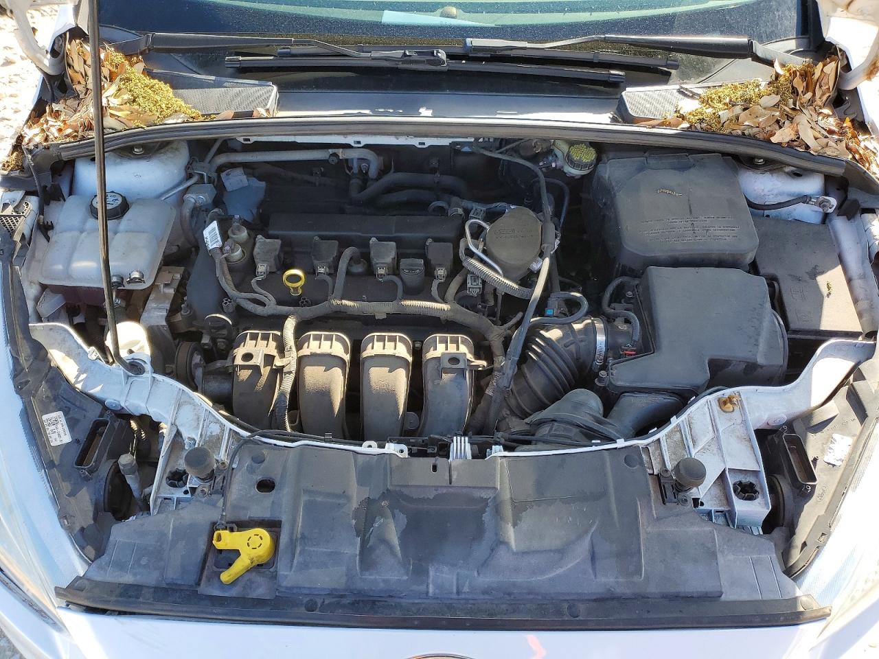 2015 FORD FOCUS SE photo 21