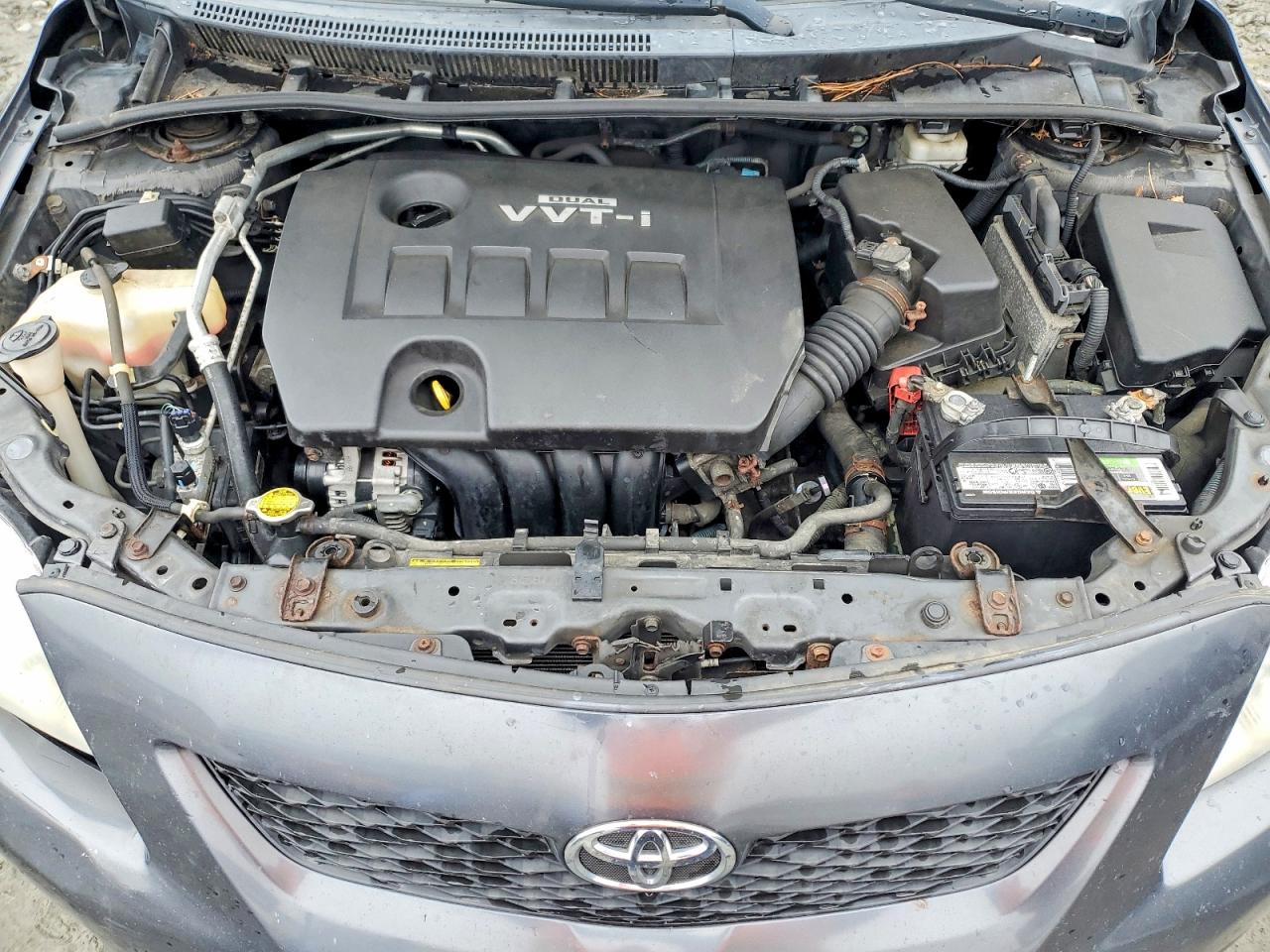 2010 TOYOTA COROLLA LE photo 11