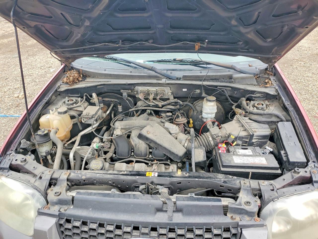 2006 FORD ESCAPE XLT photo 12