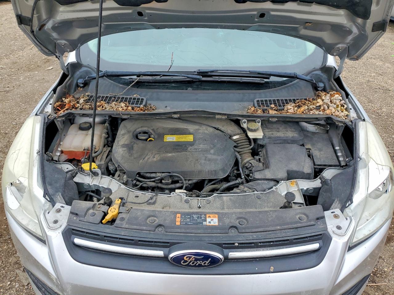2014 FORD ESCAPE SE photo 34
