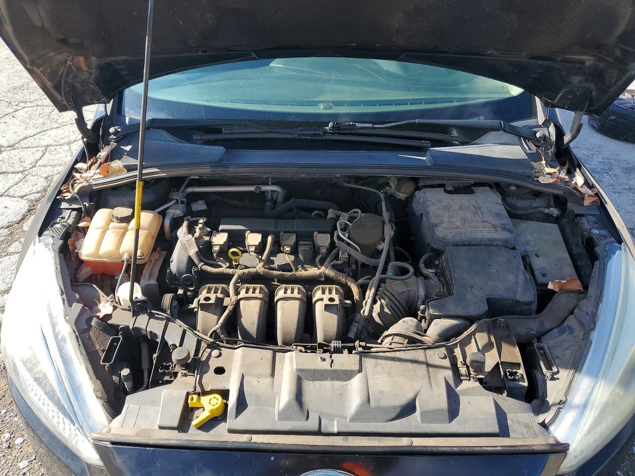 2015 FORD FOCUS SE photo 21
