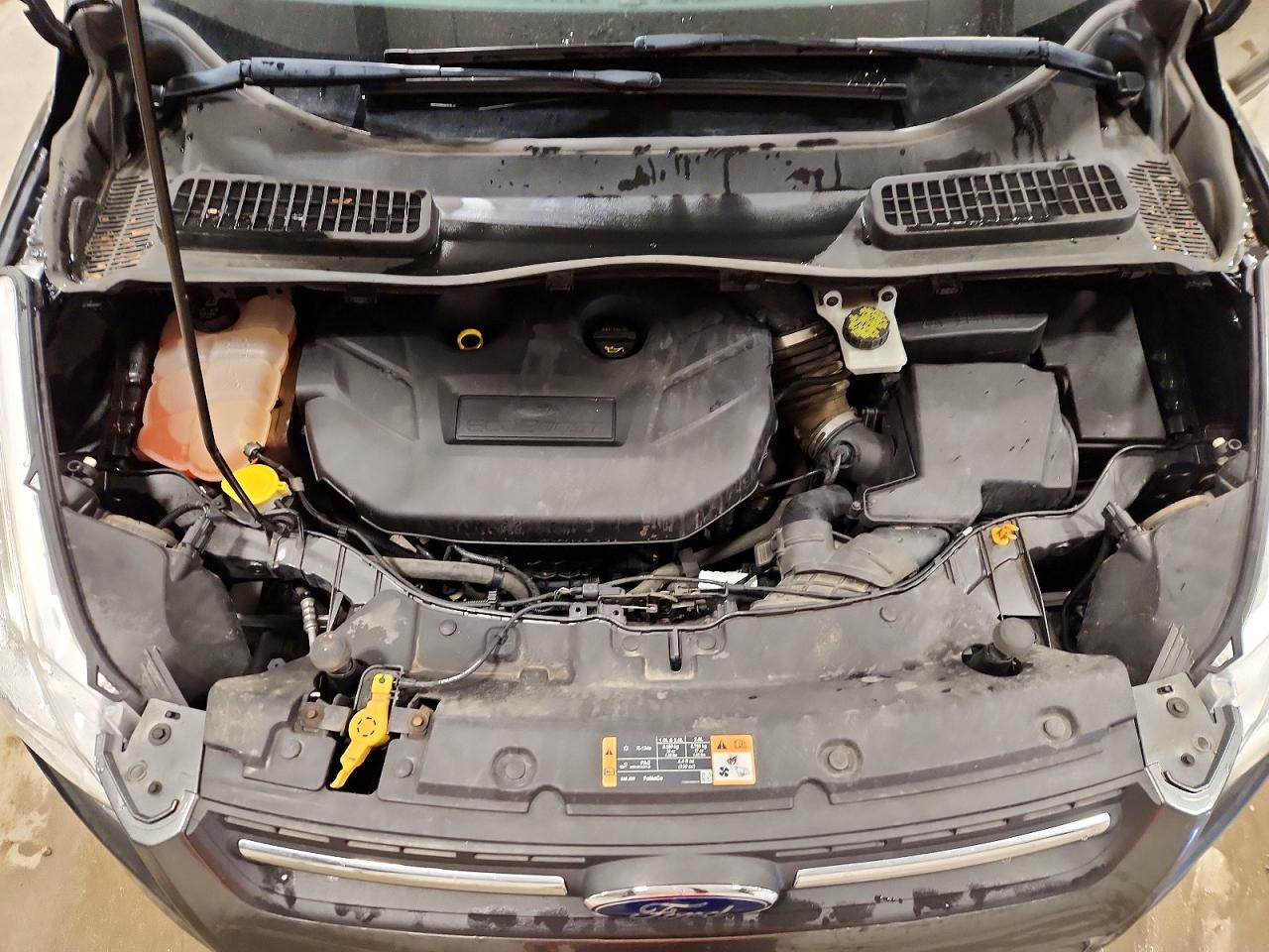 2016 FORD ESCAPE SE photo 23