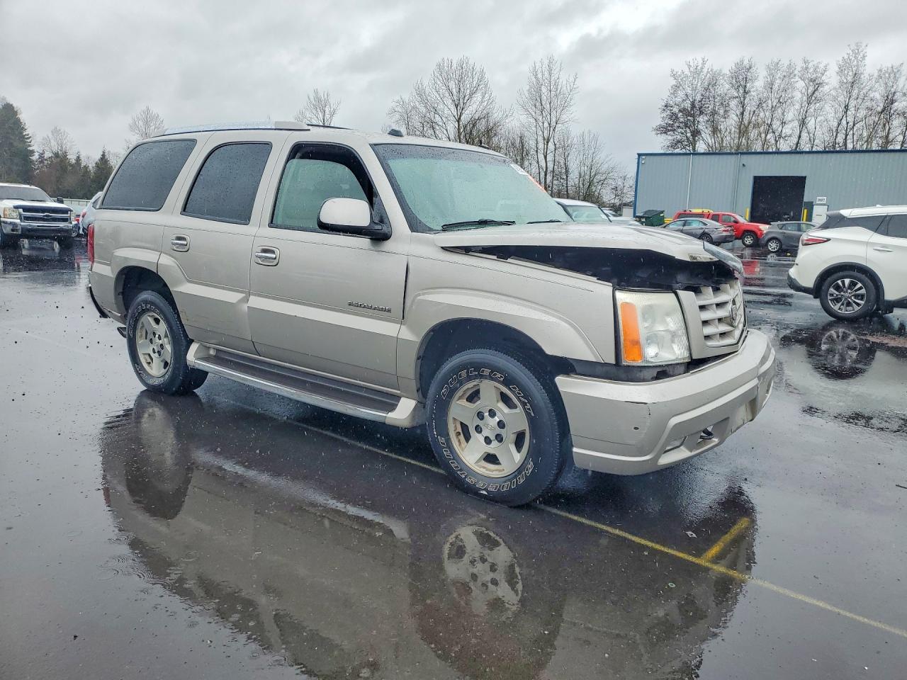 2004 CADILLAC ESCALADE LUXURY photo 10