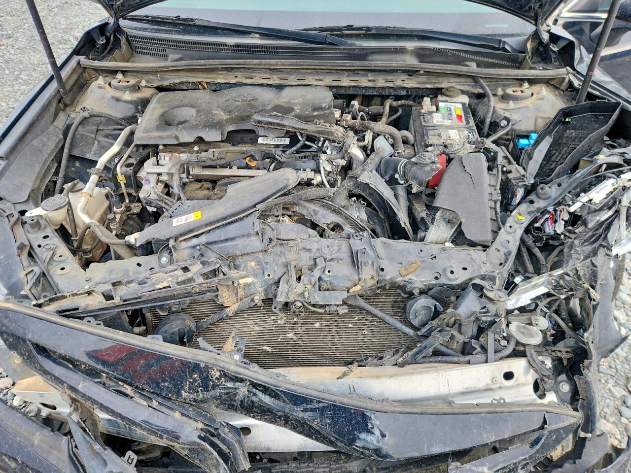 2019 TOYOTA CAMRY SE photo 21
