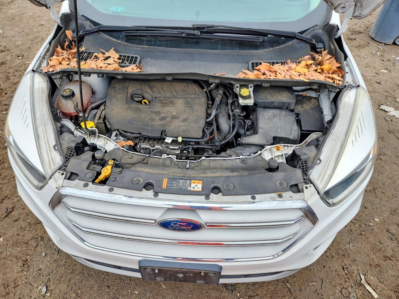 2018 FORD ESCAPE photo 23