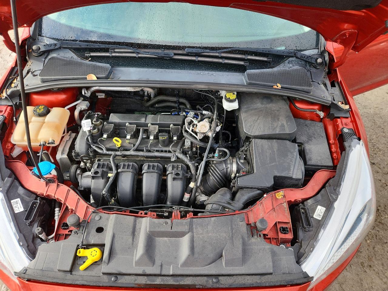 2018 FORD FOCUS SE photo 21