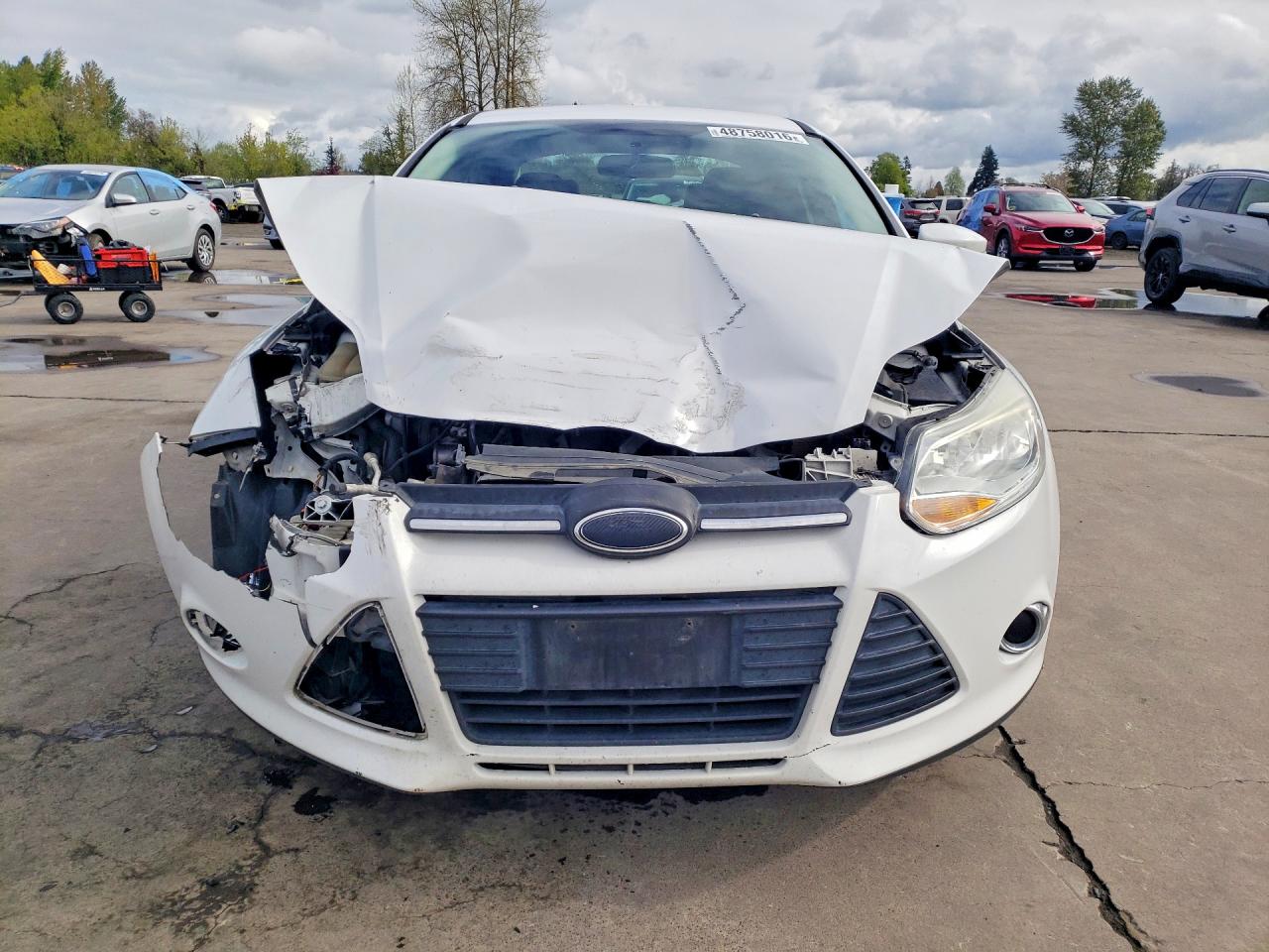 2014 FORD FOCUS SE photo 5