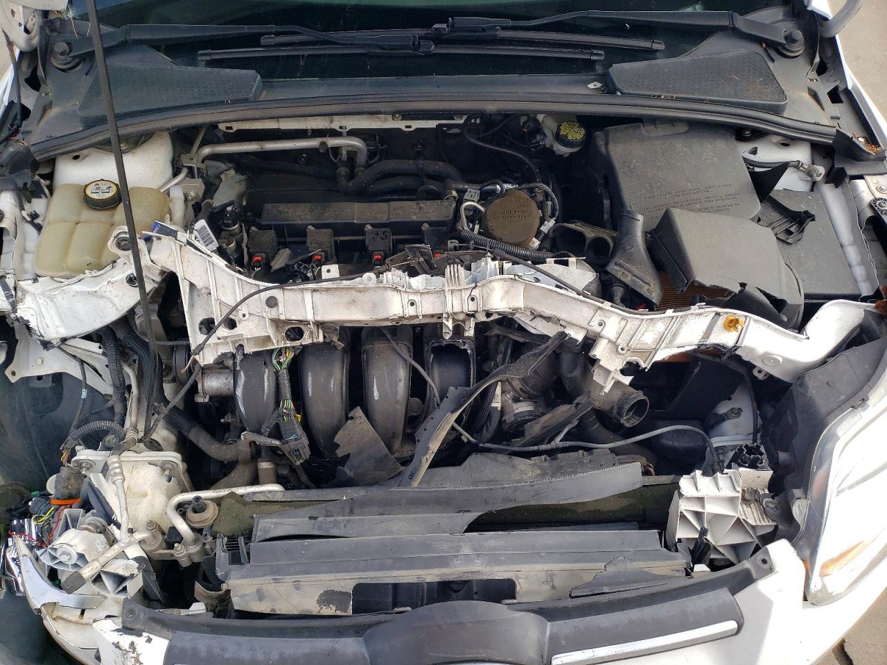 2014 FORD FOCUS SE photo 11