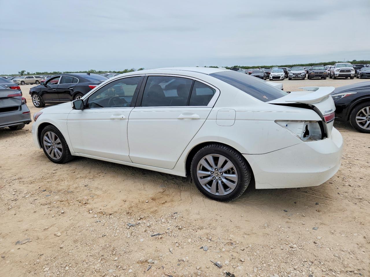 2011 HONDA ACCORD EXL photo 2