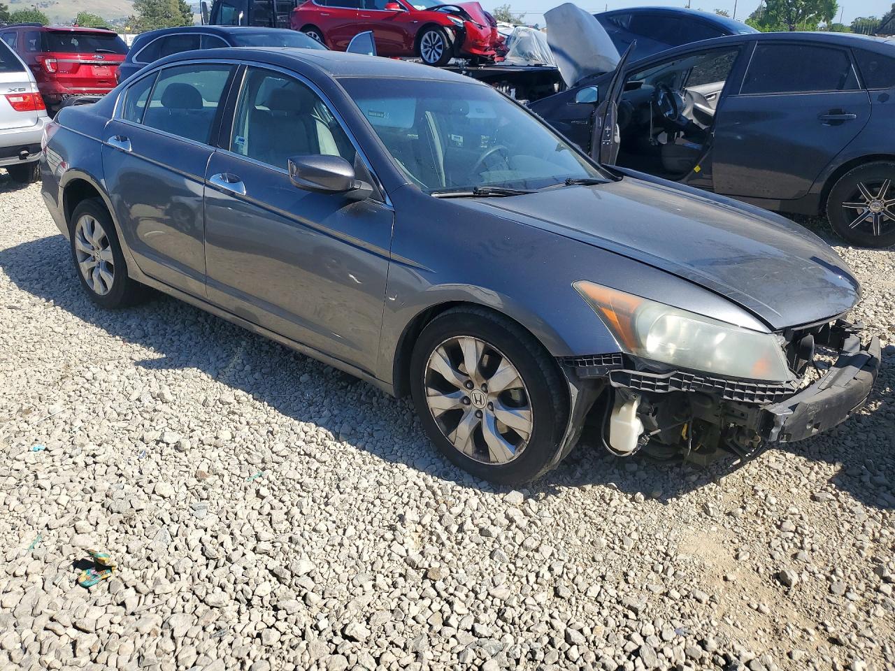 2010 HONDA ACCORD EXL photo 7