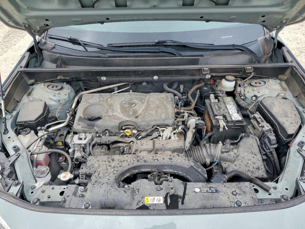 2019 TOYOTA RAV4 XLE photo 34
