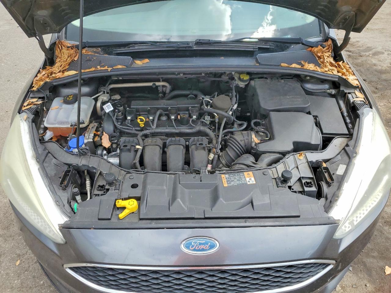 2015 FORD FOCUS S photo 21