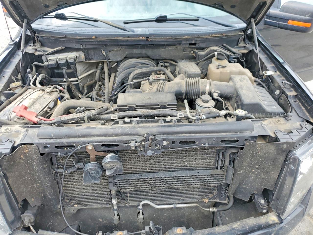 2010 FORD F150 SUPERCREW photo 11
