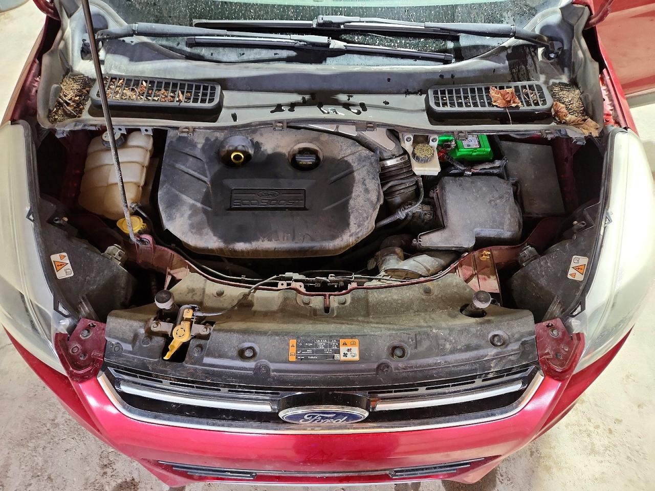 2013 FORD ESCAPE TITANIUM photo 23