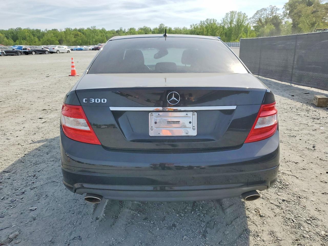 2010 MERCEDES-BENZ C 300 photo 16