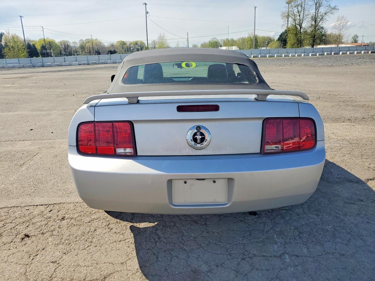 2005 FORD MUSTANG photo 11