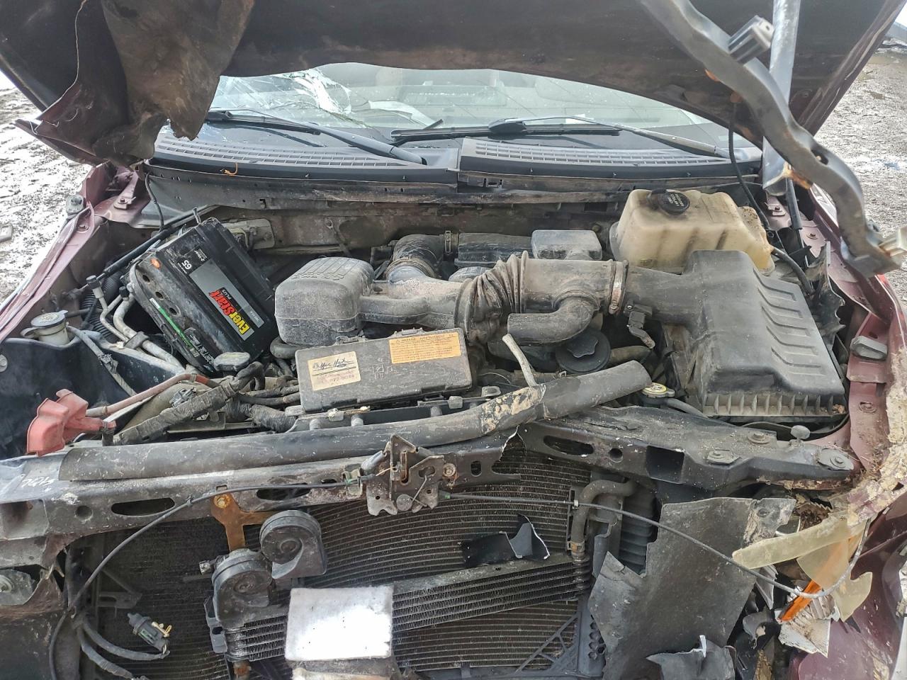 2010 FORD F150 photo 11