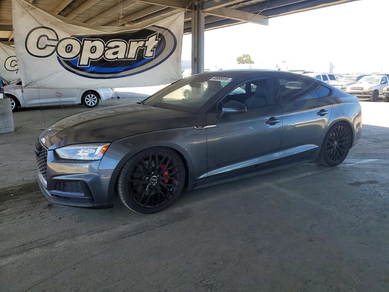 2019 AUDI S5