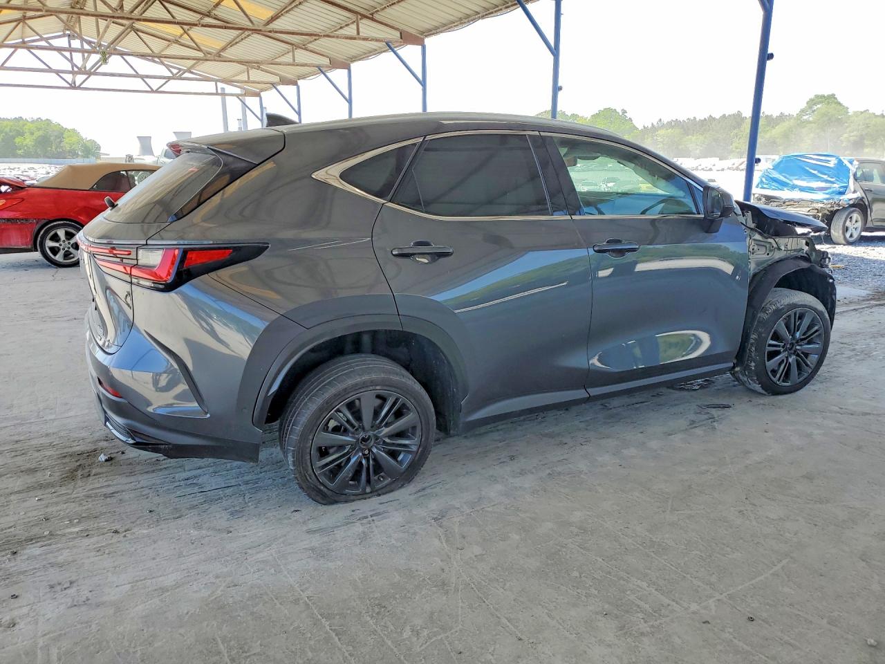 2025 LEXUS NX 350 LUXURY photo 5
