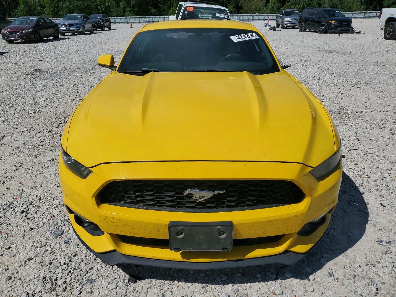 2016 FORD MUSTANG photo 13