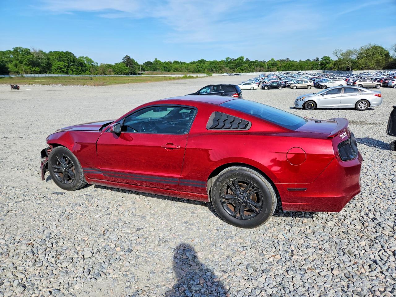 2014 FORD MUSTANG photo 3