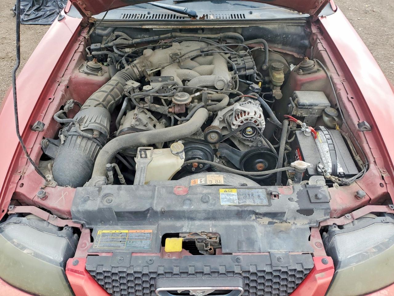 2002 FORD MUSTANG photo 21