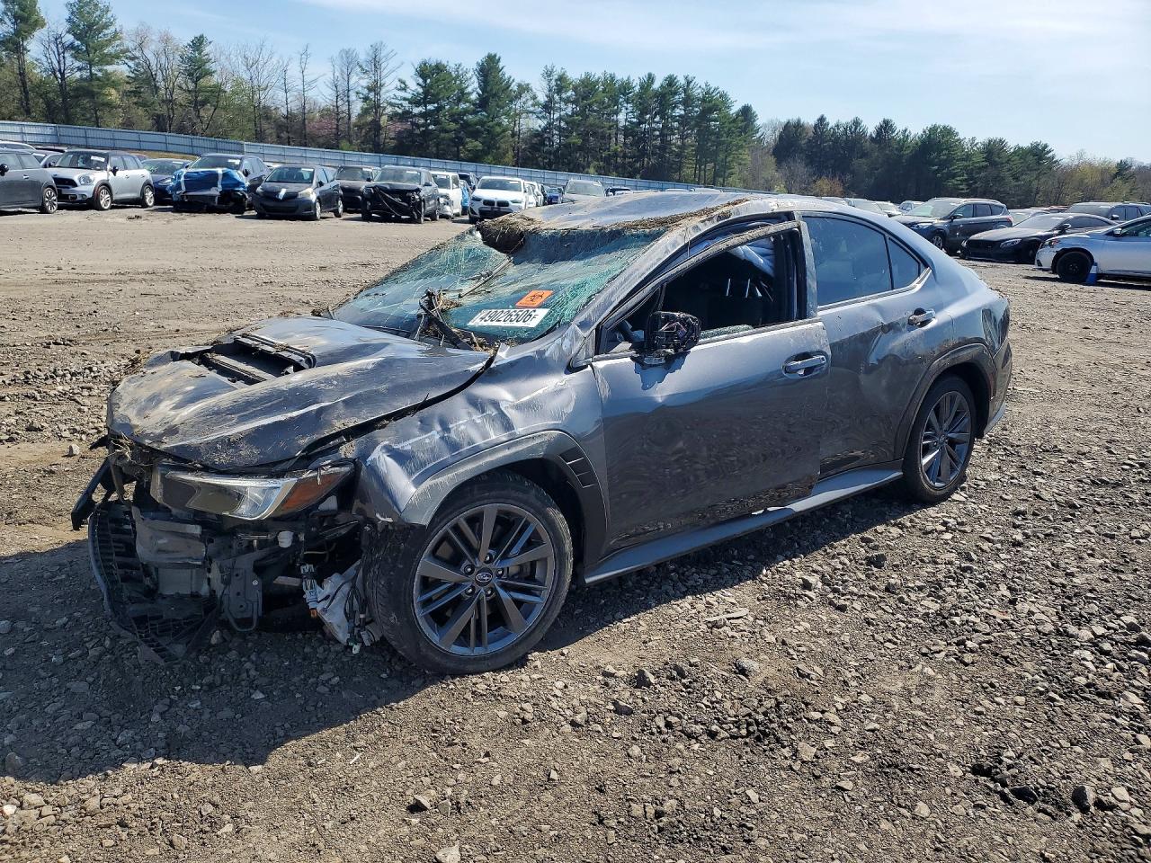 2023 SUBARU WRX