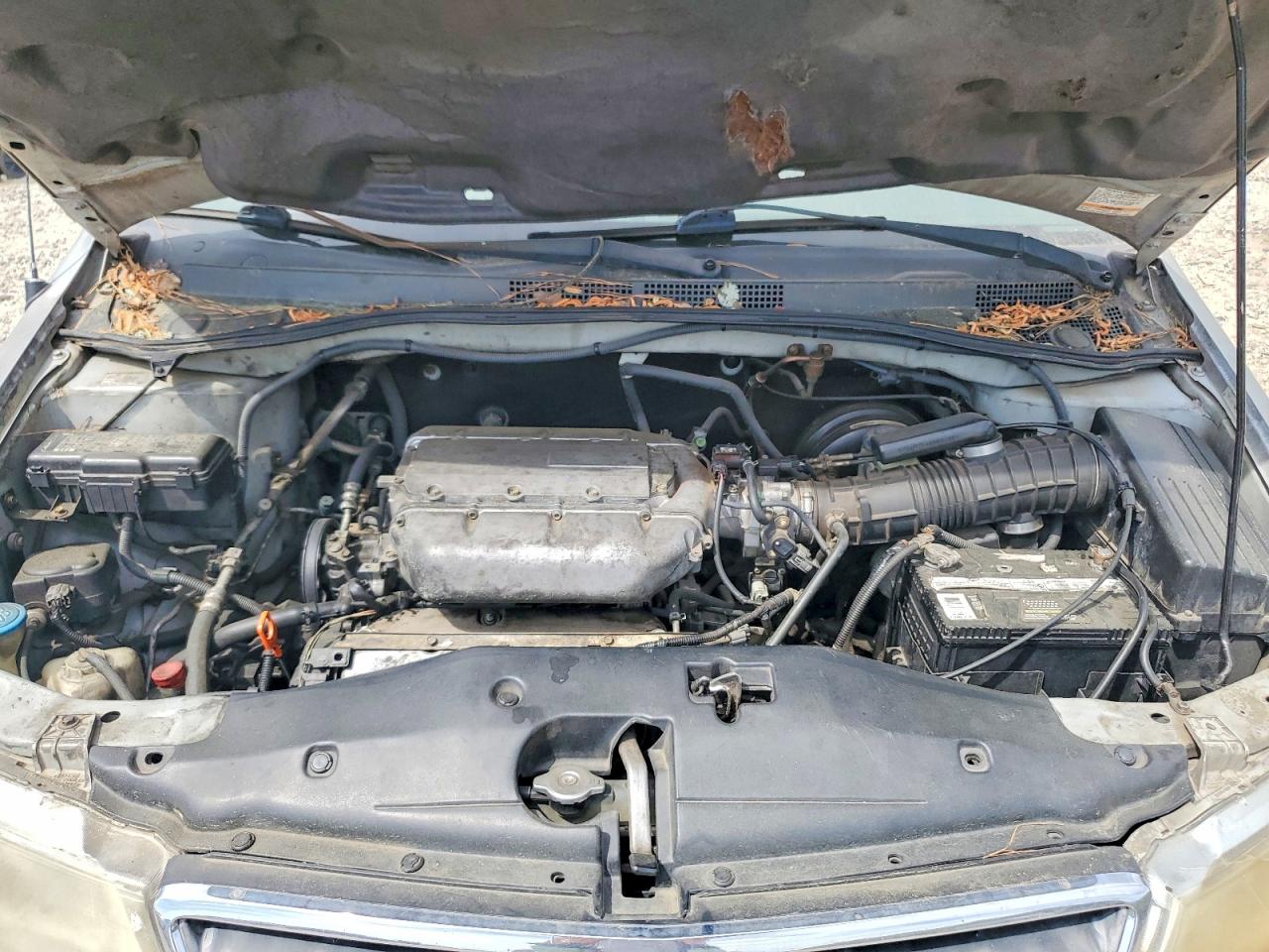 2002 HONDA ODYSSEY EX photo 12