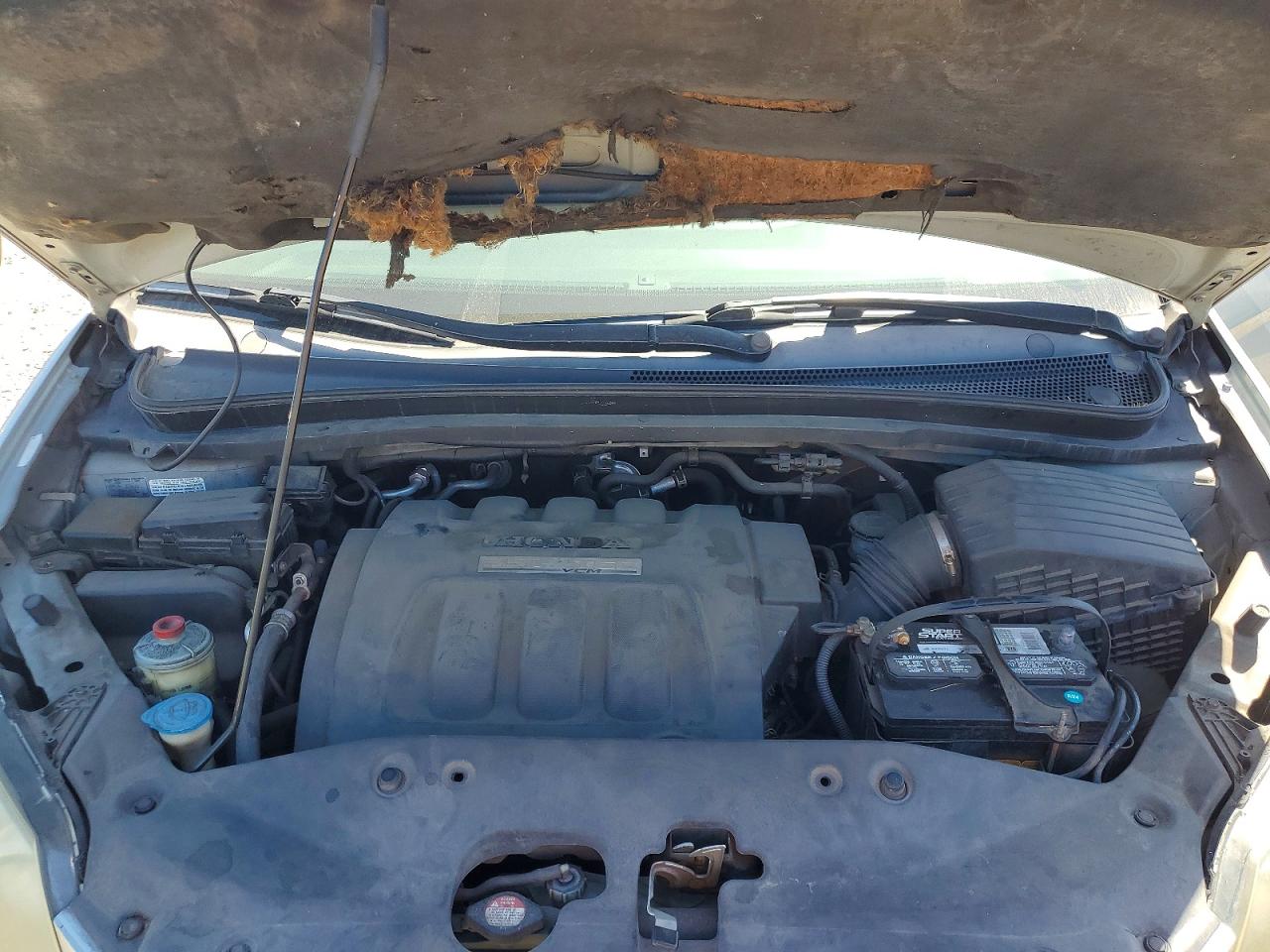 2006 HONDA ODYSSEY EXL photo 12