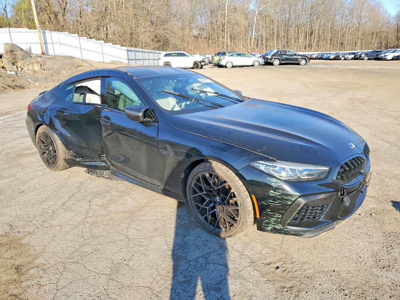 2022 BMW M8 photo 7