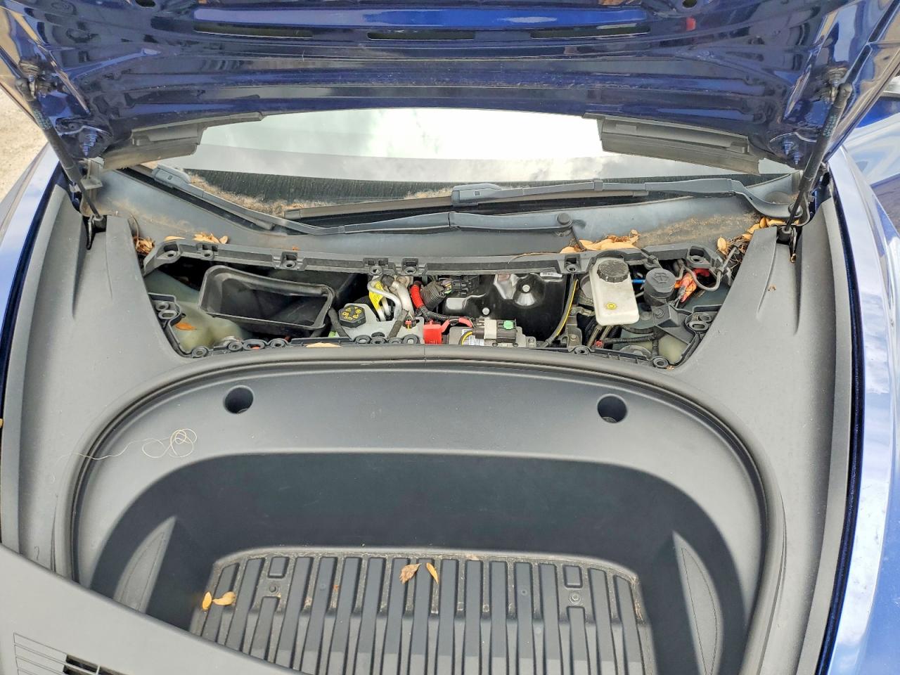 2023 TESLA MODEL 3 photo 21