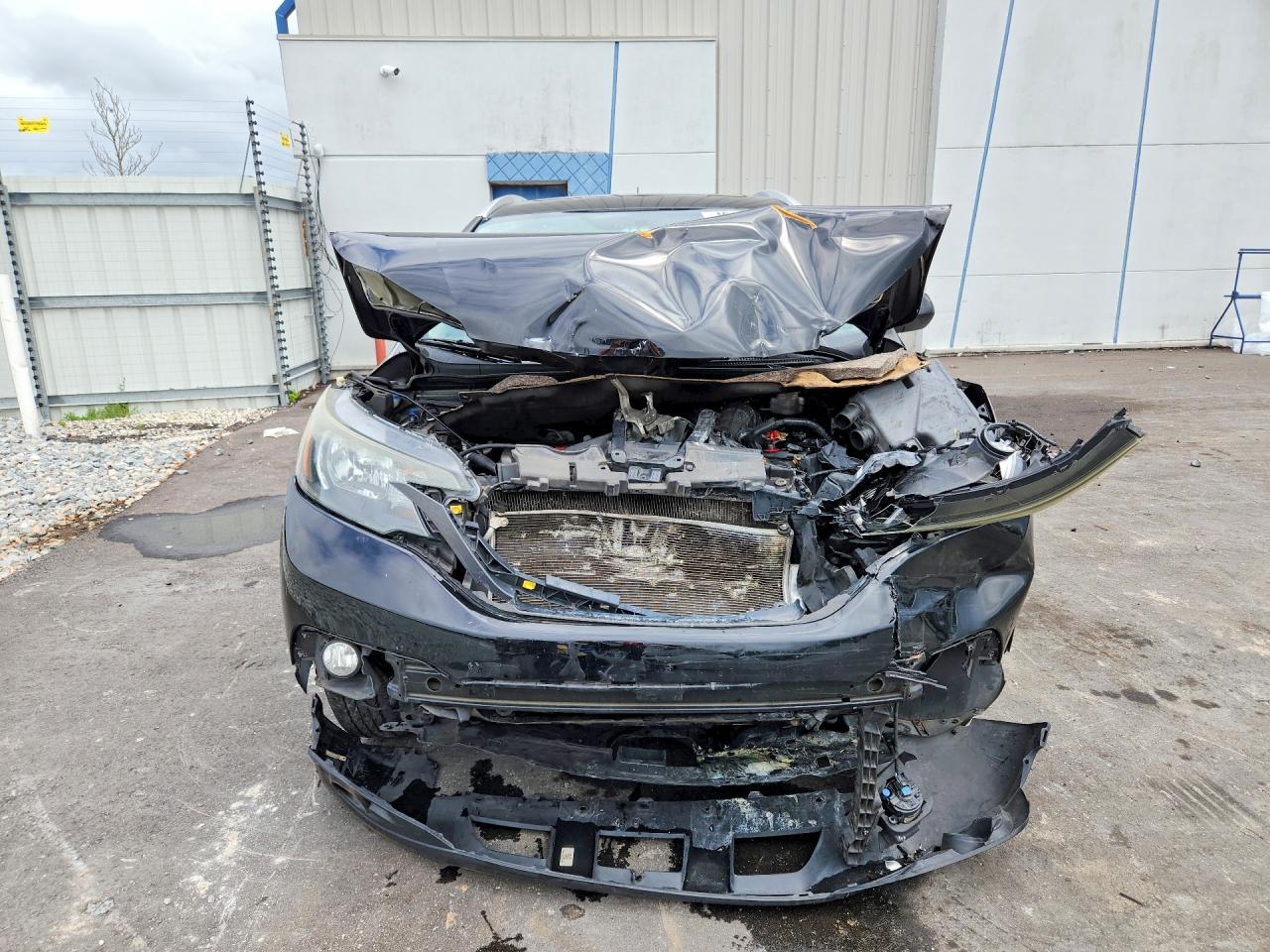 2014 HONDA CR-V EXL photo 9