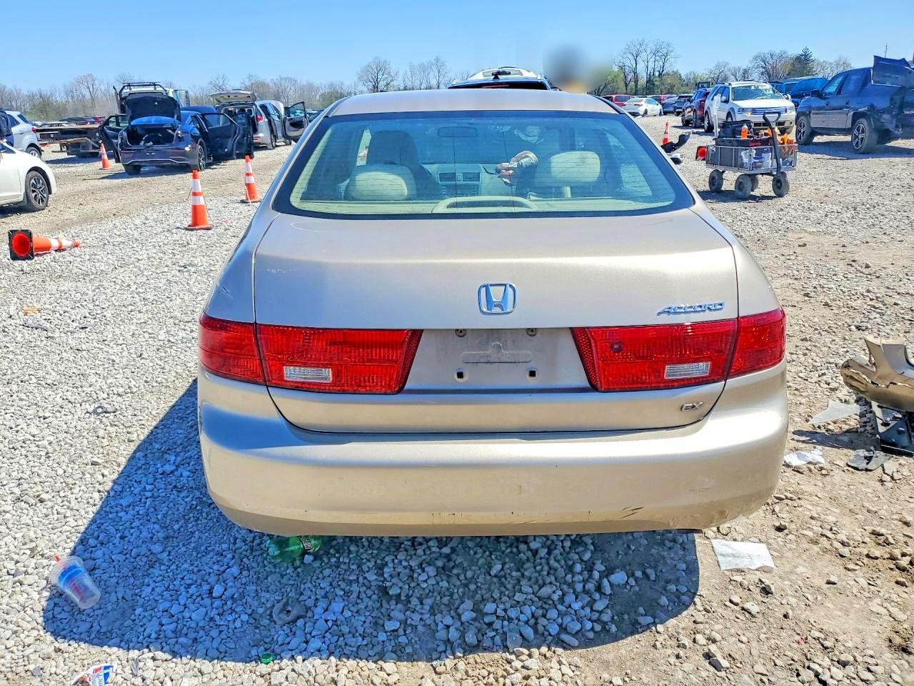 2005 HONDA ACCORD EX photo 6