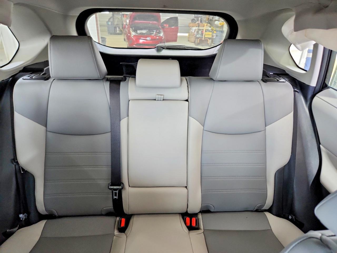 2025 TOYOTA RAV4 XLE PREMIUM photo 28
