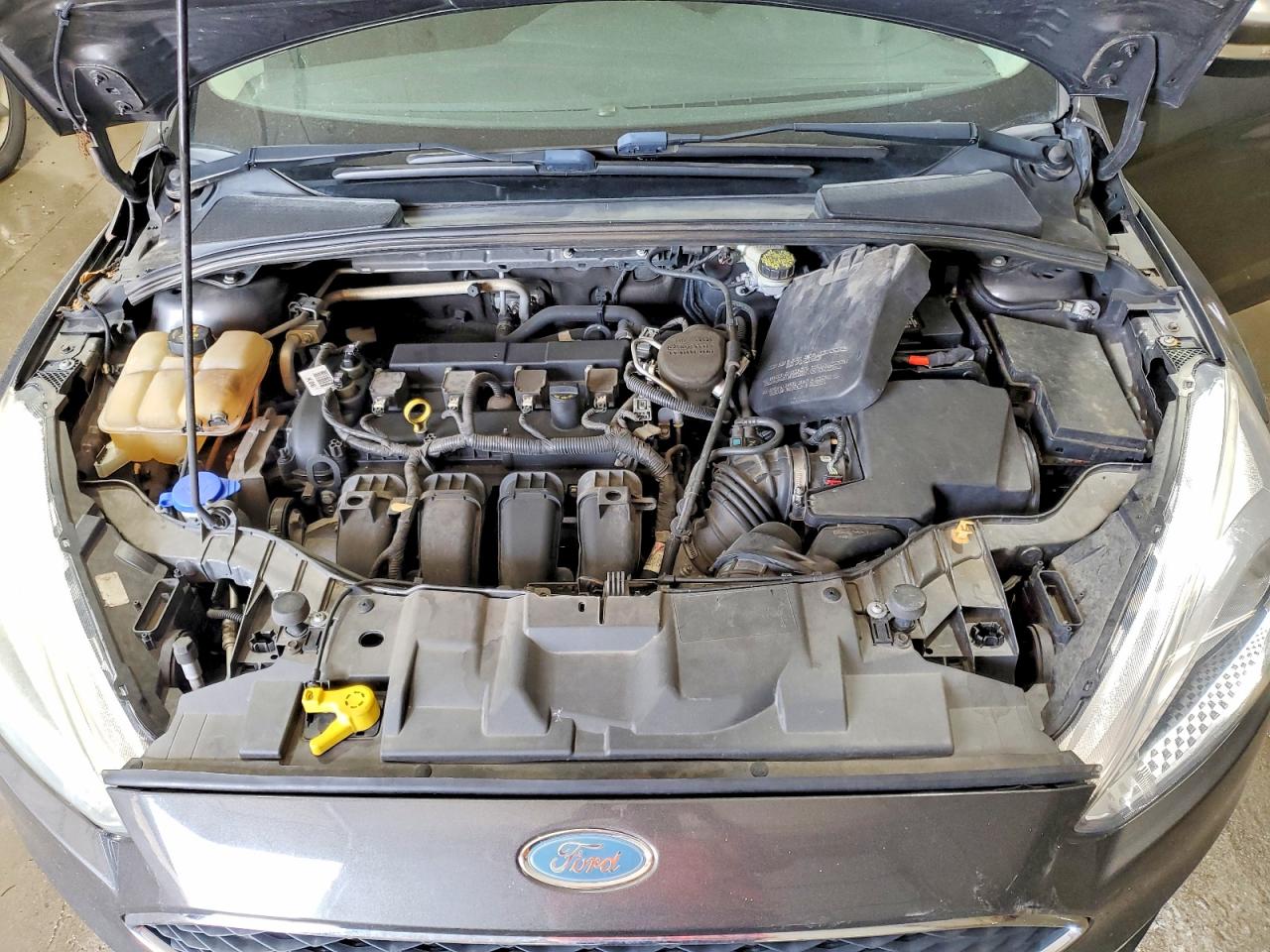 2015 FORD FOCUS SE photo 11