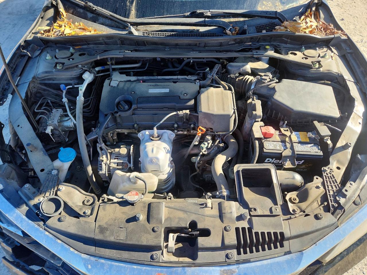 2017 HONDA ACCORD EX photo 11