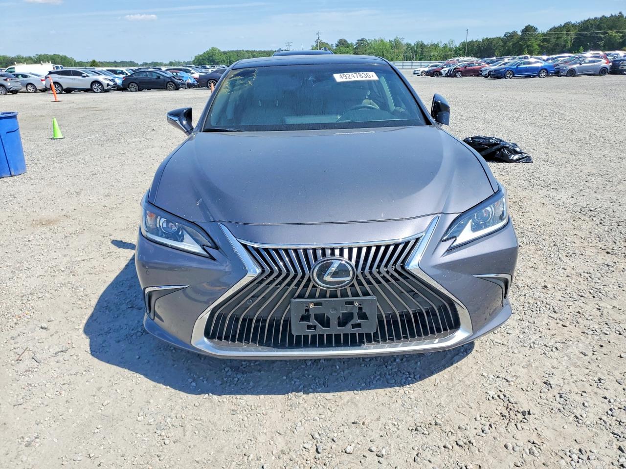 2019 LEXUS ES 350 photo 9