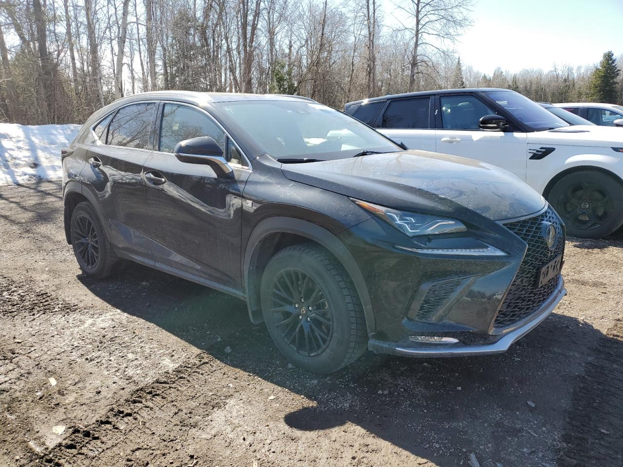 2020 LEXUS NX 300 F SPORT photo 7