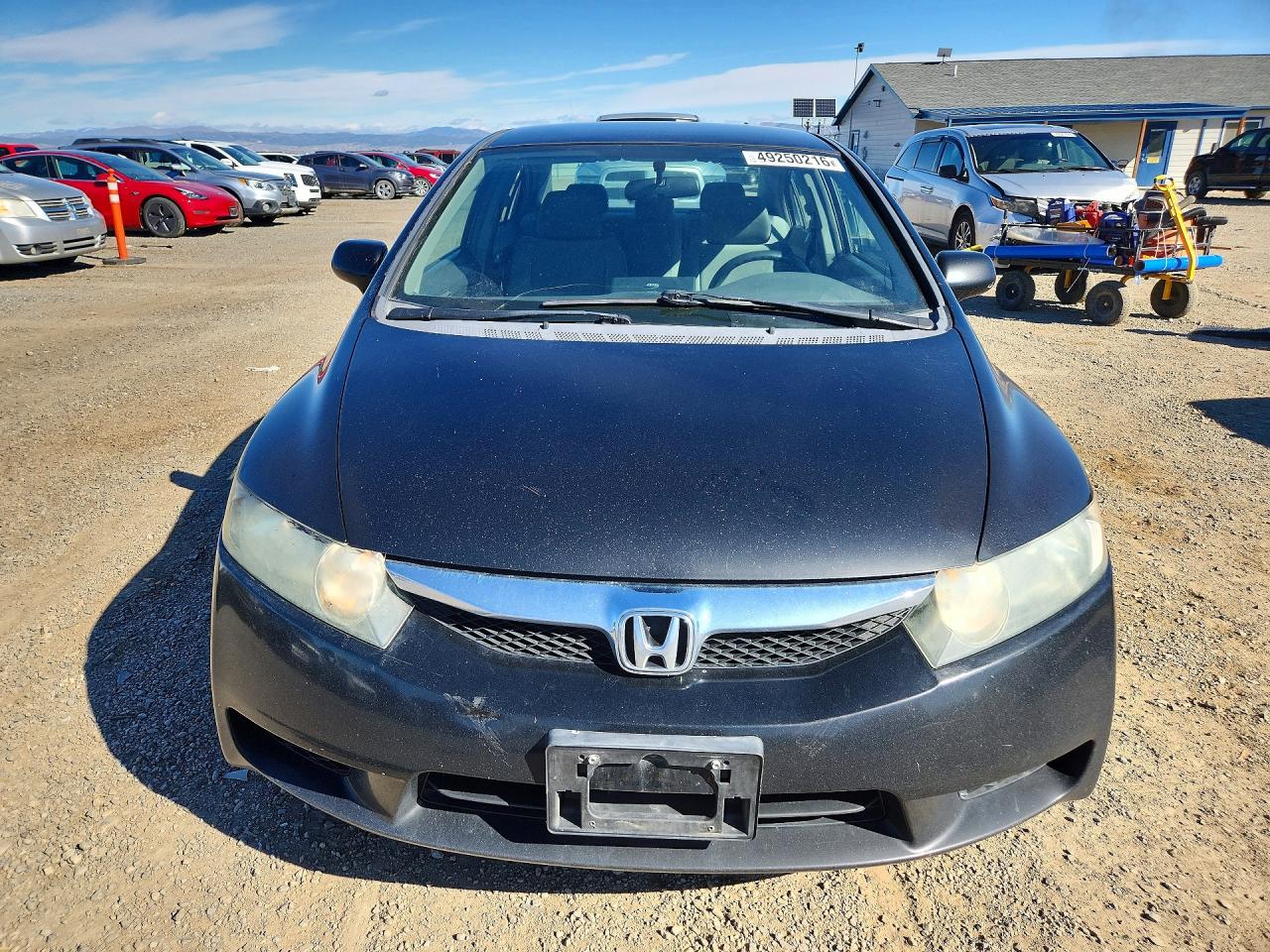 2010 HONDA CIVIC LX photo 5