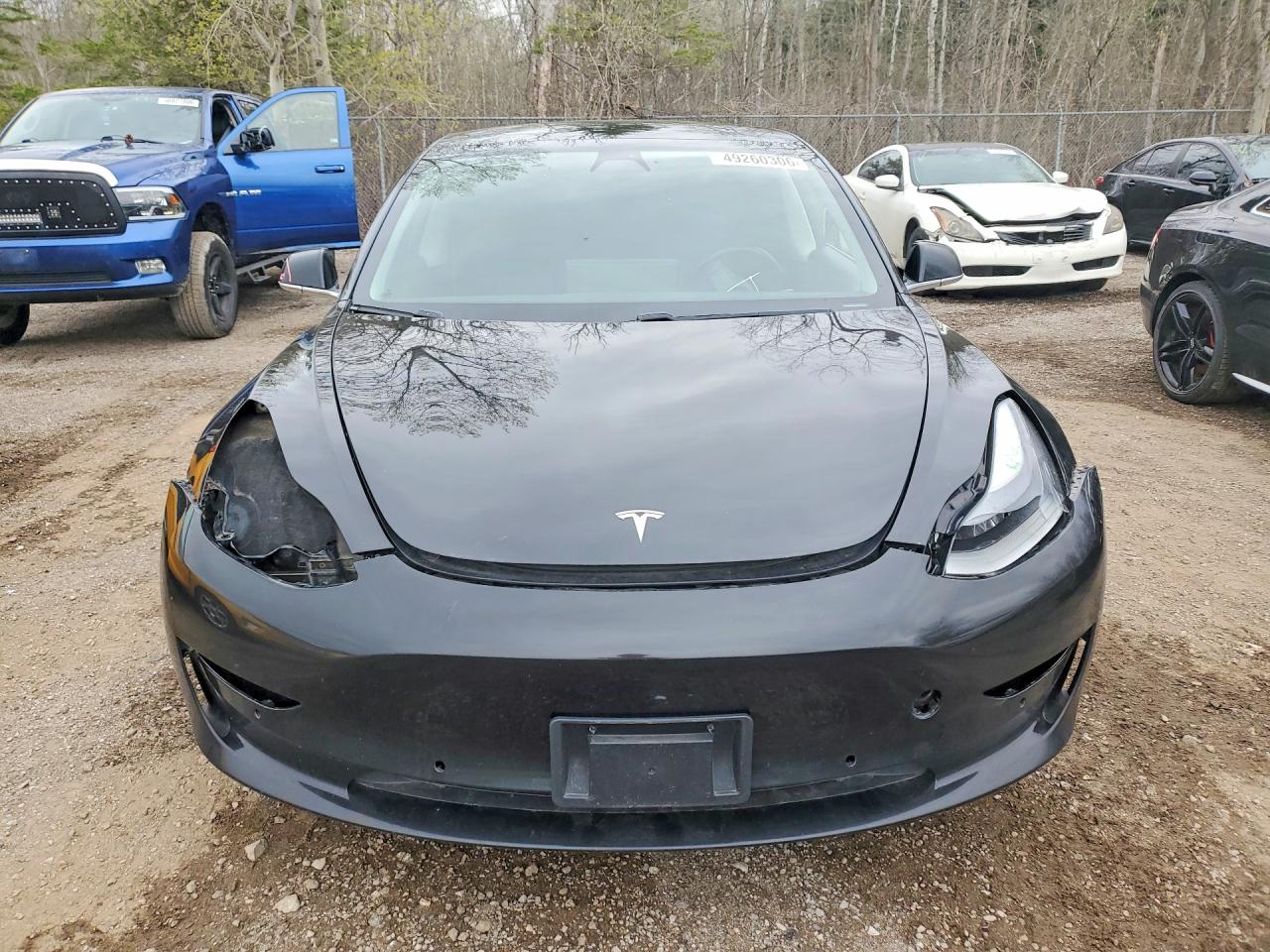 2019 TESLA MODEL 3 photo 13