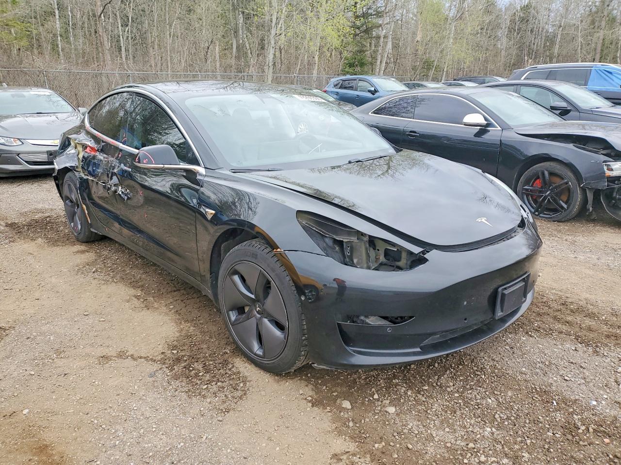 2019 TESLA MODEL 3 photo 10