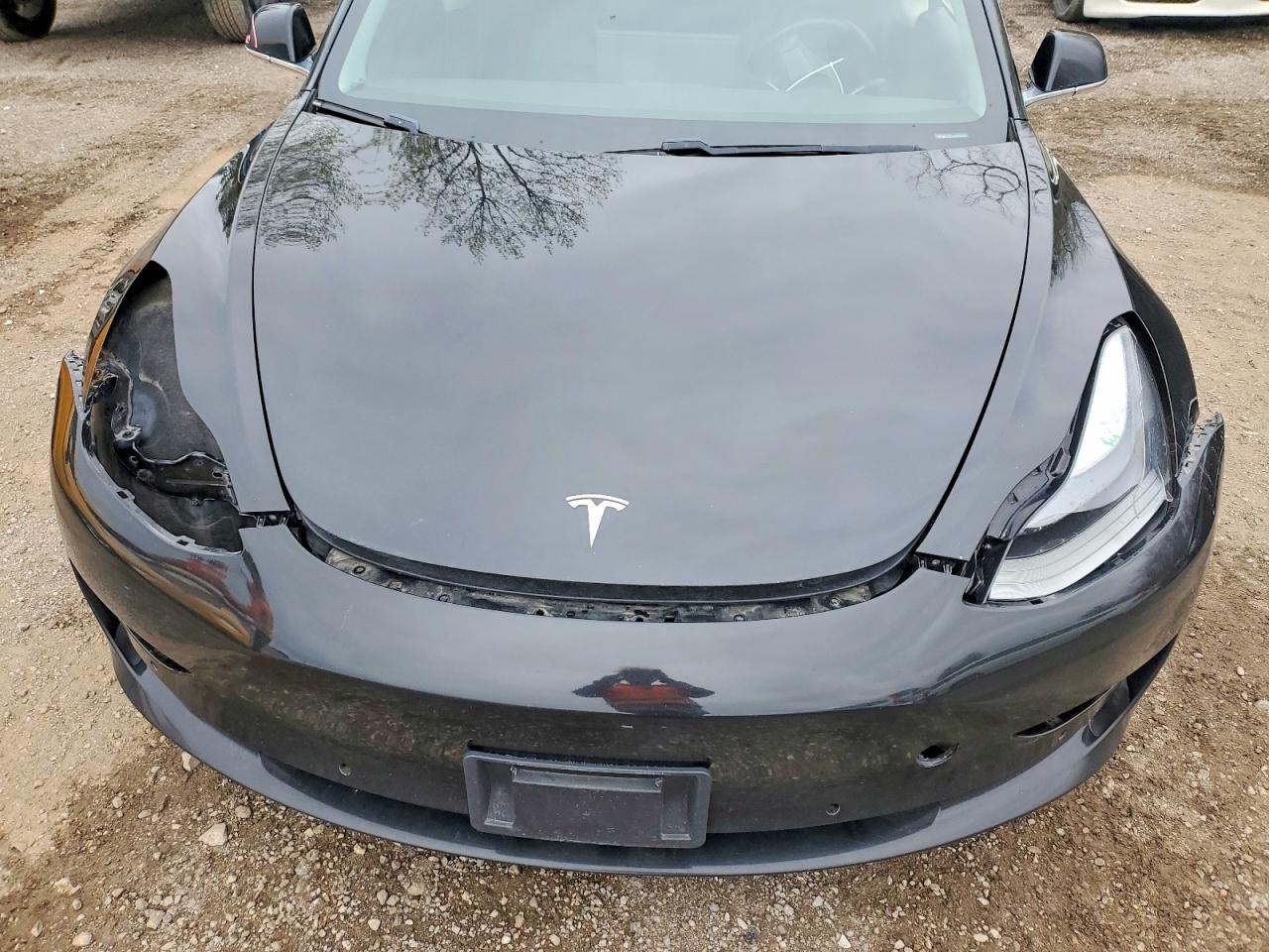 2019 TESLA MODEL 3 photo 31